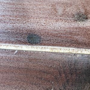 Meet your Posher, Kristyn